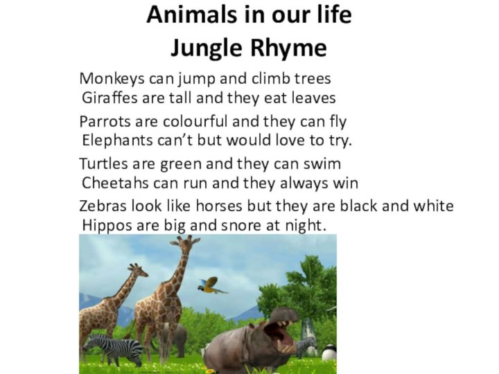 Animals in our life  Jungle Rhyme   Monkeys can jump