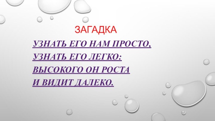 ЗагадкаУзнать его нам просто, Узнать его легко: Высокого он роста И видит далеко.