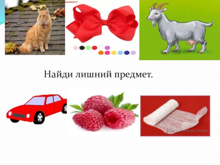 Найди лишний предмет.