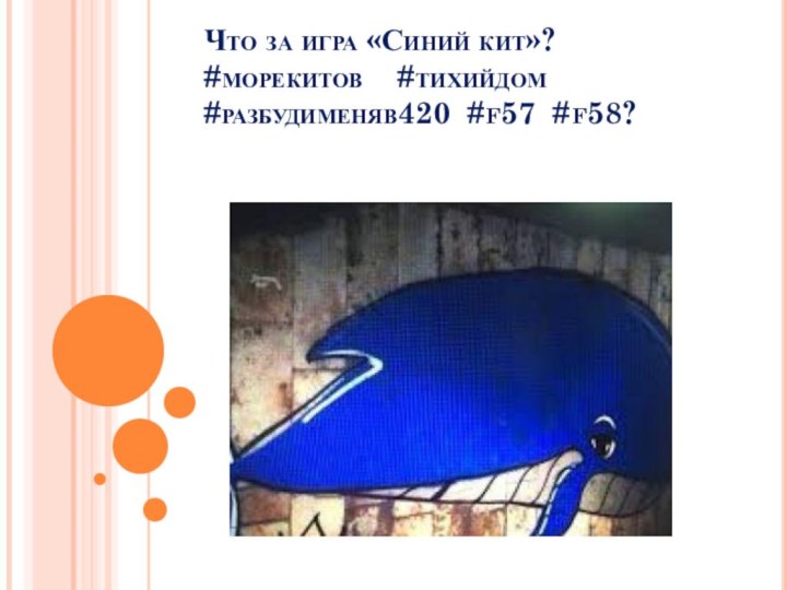 Что за игра «Синий кит»? #морекитов  #тихийдом #разбудименяв420 #f57 #f58?