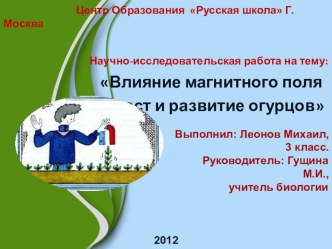 Исследовательская работа учащихся: Влияние магнитного поля на рост и развитие огурцов