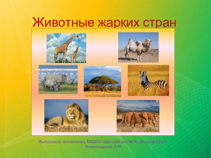 Животные жарких странВыполнила: воспитатель МБДОУ «Детский сад №76 г.Йошкар-Олы» Александрова Э.М