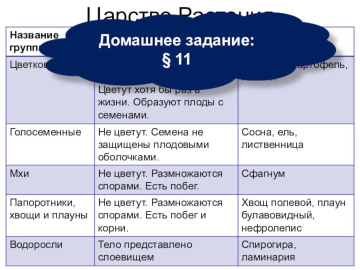 Царство РастенияДомашнее задание:§ 11