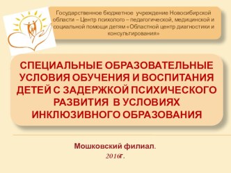 Презентация СОУ для детей с ЗПР в условиях инклюзивного образования