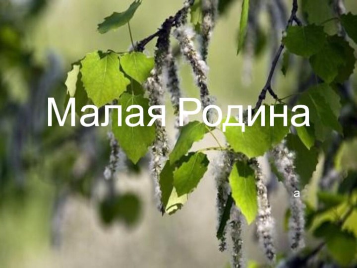 Малая Родинаа