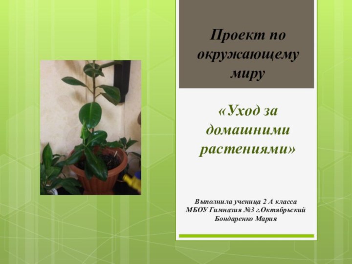 Проект по окружающему миру  «Уход за домашними растениями»Выполнила ученица 2