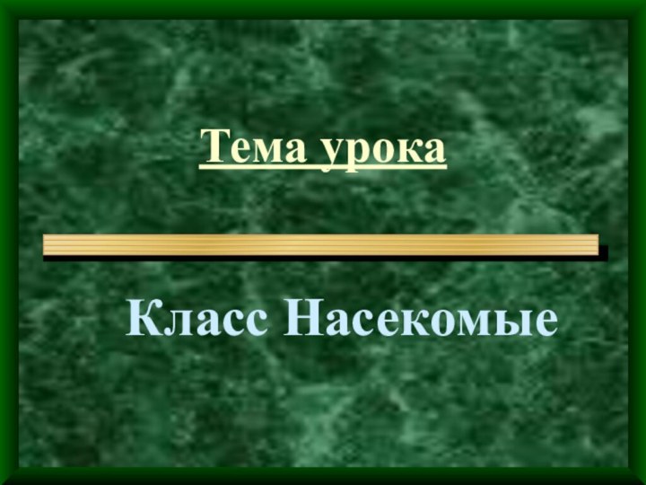 Тема урокаКласс Насекомые