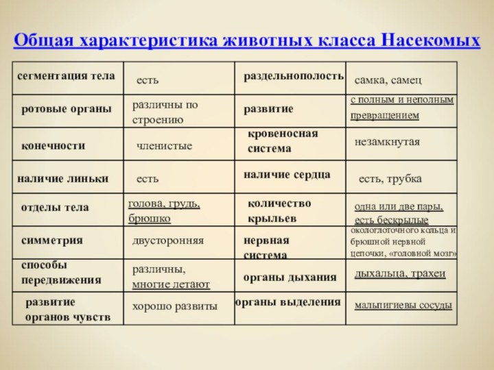 Общая характеристика животных класса Насекомыхсегментация теларотовые органыконечностиналичие линькиотделы теласимметрия способы передвиженияразвитие органов