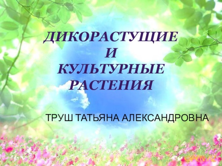 ТРУШ ТАТЬЯНА АЛЕКСАНДРОВНАДикорастущие и культурные растения