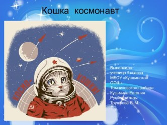 Кошка космонавт