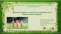 Экологическое краеведение Тема исследовательской работы Влияние дождевых червей на плодородие почв Шарыповского района