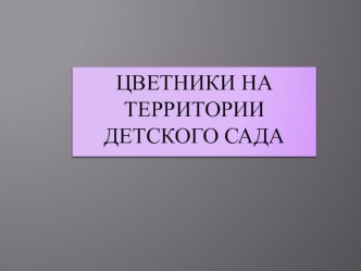 Цветники на территории детского сада