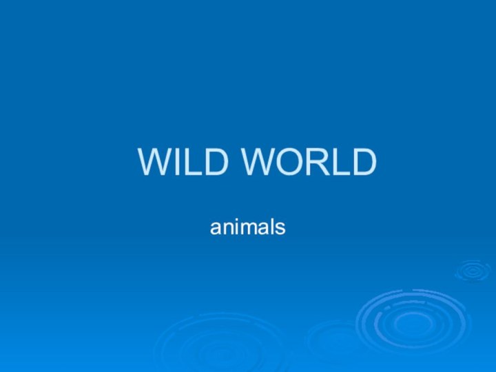 WILD WORLDanimals