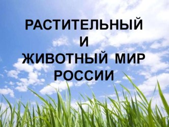 Растительный и животный мир России. Презентация по географии. 8 класс