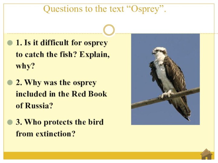 Questions to the text “Osprey”. 1. Is