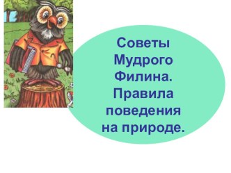 Презентация  Безопасное поведение на природе.