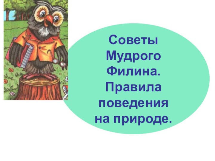 Советы Мудрого Филина.Правила поведения на природе.