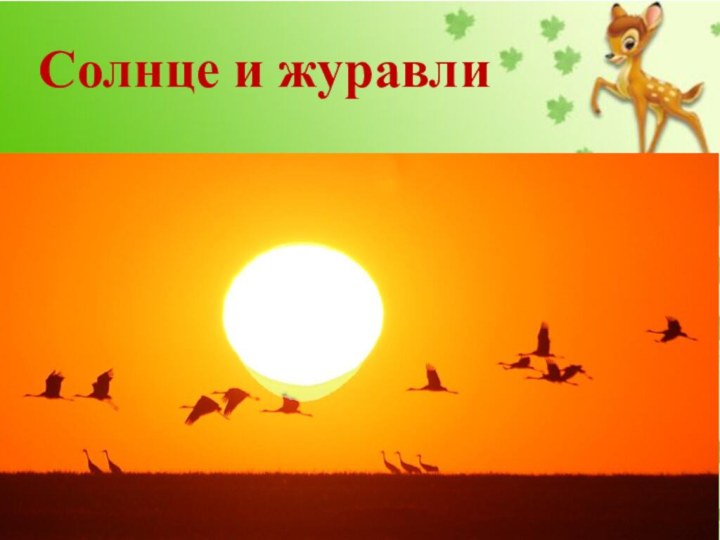 Солнце и журавли