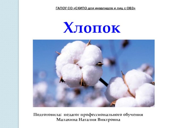 Подготовила: педагог профессионального обучения Малахина Наталия ВиктровнаХлопокГАПОУ СО «СКИПО для инвалидов и лиц с ОВЗ»