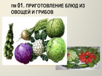 Обработка и нарезка луковых, листовых, томатных, тыквенных овощей, белокочанной капусты, квашеных овощей.