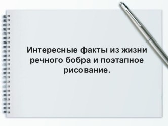 Презентация по окружающему миру на тему: Интересные факты из жизни речного или обыкновенного бобра. Поэтапное рисование.