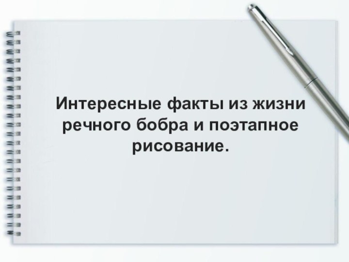 Интересные факты из жизни речного бобра и поэтапное рисование. 