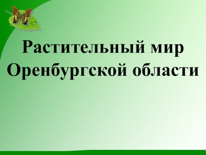 Растительный мир Оренбургской области