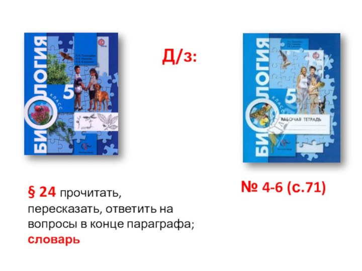 § 24 прочитать, пересказать, ответить на вопросы в конце параграфа; словарь Д/з: № 4-6 (с.71)