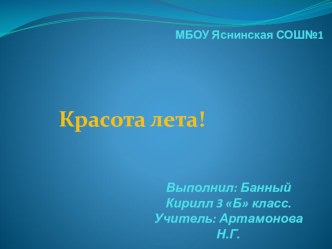 Презентация проектной работы О лете