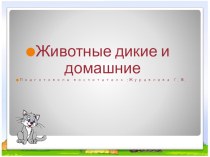 Дикие и домашние животные