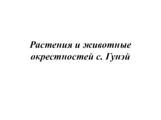 Растения и животные окрестностей с. Гунэй