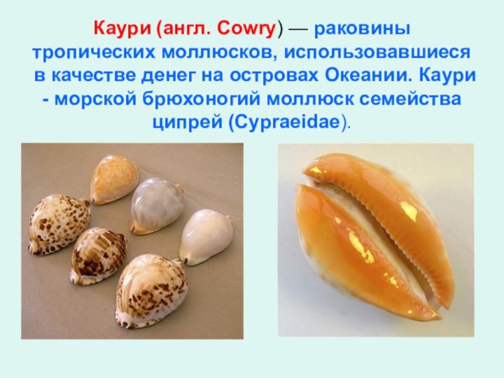 Каури (англ. Cowry) — раковины тропических моллюсков, использовавшиеся в качестве денег на