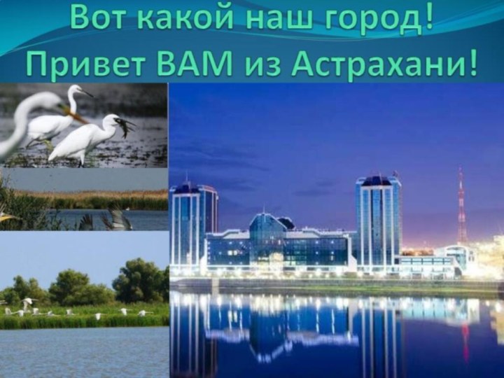 Вот какой наш город! Привет ВАМ из Астрахани!