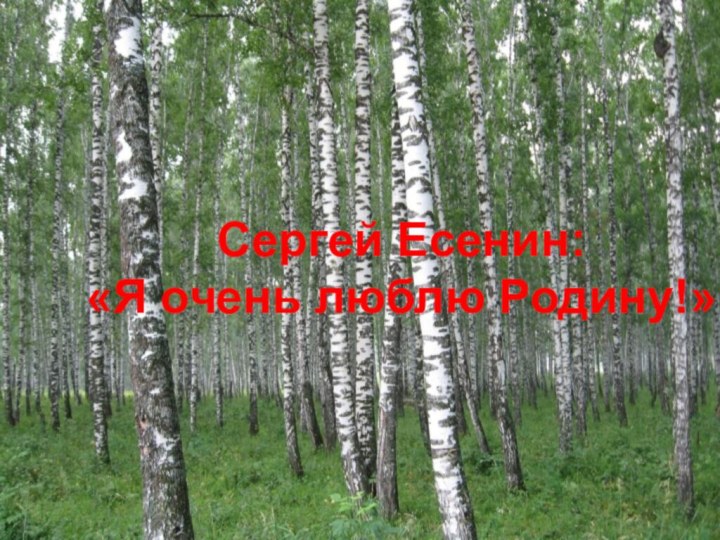 Сергей Есенин: «Я очень люблю Родину!»