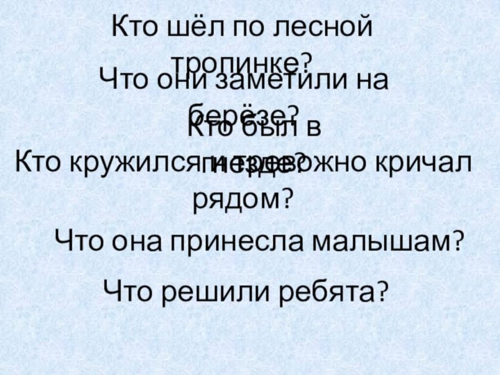 Кто шёл по лесной тропинке?Что они заметили на берёзе? Кто был в