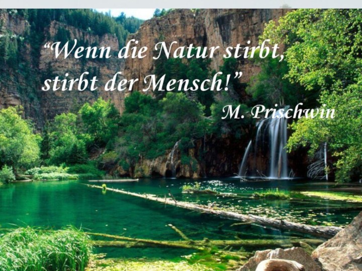 “Wenn die Natur stirbt, stirbt der Mensch!”