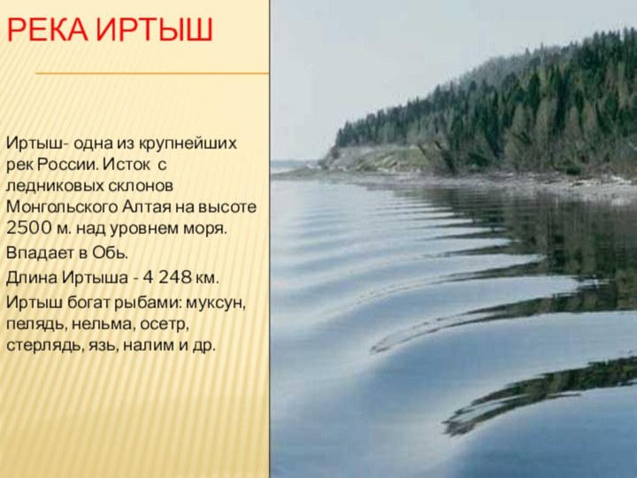 РЕКА ИРТЫШИртыш- одна из крупнейших рек России. Исток с ледниковых склонов Монгольского