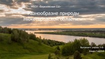 Презентация по окружающему миру Природа Нижегородской области( 3 класс)