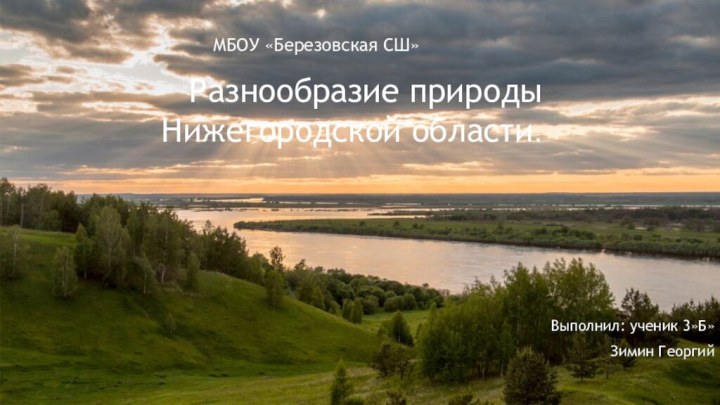 Разнообразие природы Нижегородской области.   Выполнил: ученик 3»Б»Зимин ГеоргийМБОУ «Березовская СШ»