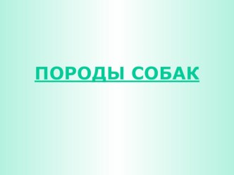 Презентация Собаки по окружающему миру