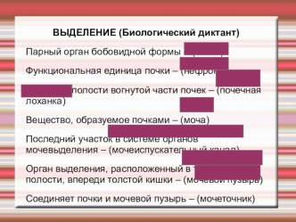 Презентация к уроку биологии в 8 классе по теме Строение и функции кожи