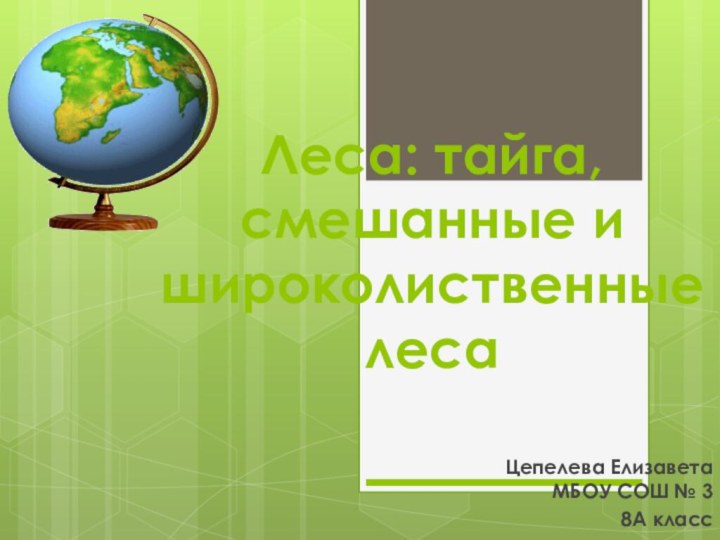 Леса: тайга, смешанные и широколиственные лесаЦепелева Елизавета МБОУ СОШ № 3 8А класс