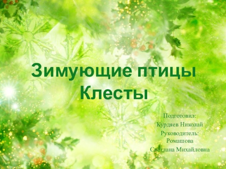 Зимующие птицы Клесты Подготовил: Курдяев НиколайРуководитель: Ромашова Светлана Михайловна