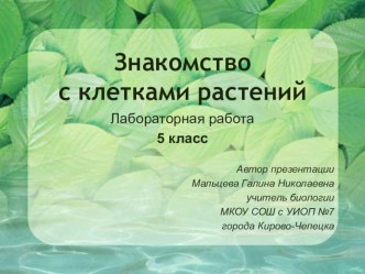 Урок биологии 5 класс