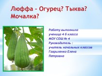 Презентация к проекту по окружающему миру по теме: Люффа-огурец? Тыква? Мочалка? 4 класс