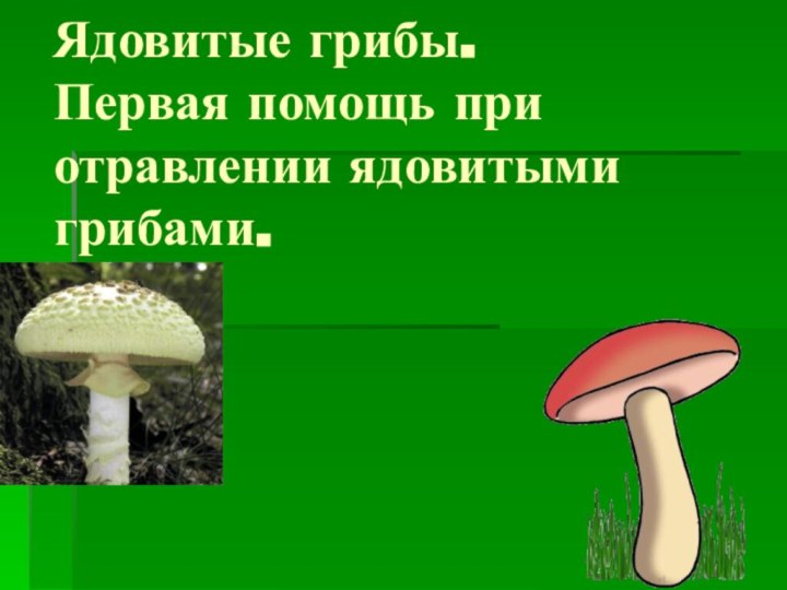 Ядовитые грибы. Первая помощь при отравлении ядовитыми грибами.