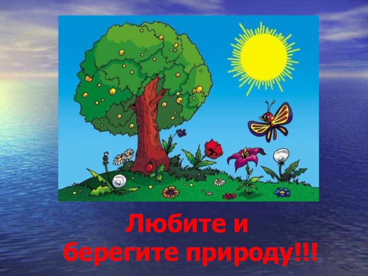 Любите и берегите природу!!!