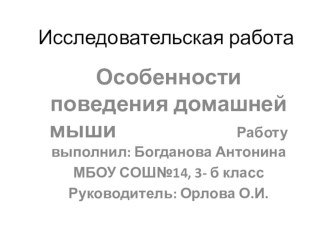 Презентация исследовательской работы Особенности поведения домашней мыши