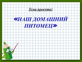 Презентация Наш домашний питомец - улитка Ахатина 2 класс