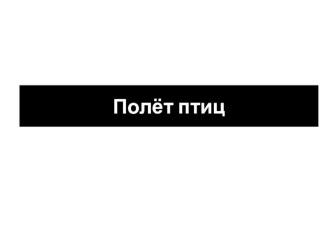 Презентация по изобразительному искусству на тему Полёт птиц (3 класс)